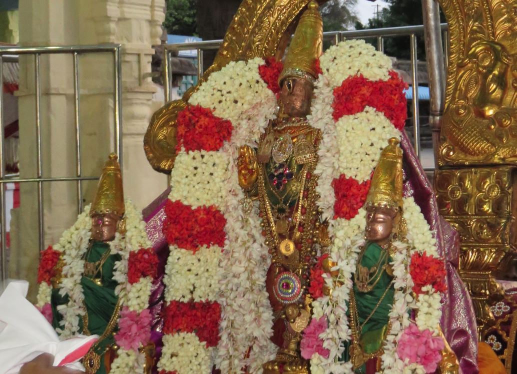 Kanchi Sri Devaperumal Avani Ekadasi Purappadu 2015-2