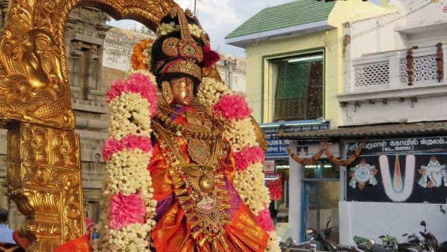 Kanchi Sri Devaperumal Sannadhi Thiruvadipoora Utsavam day 2-2015 16