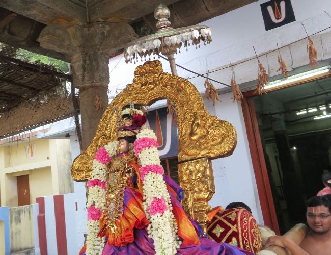 Kanchi Sri Devaperumal Sannadhi Thiruvadipoora Utsavam day 2-2015 22