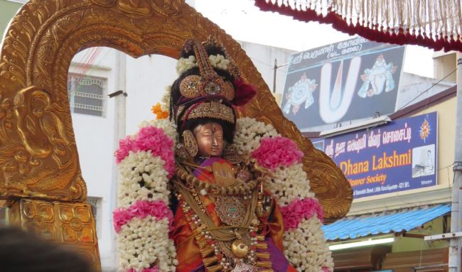 Kanchi Sri Devaperumal Sannadhi Thiruvadipoora Utsavam day 2-2015 25