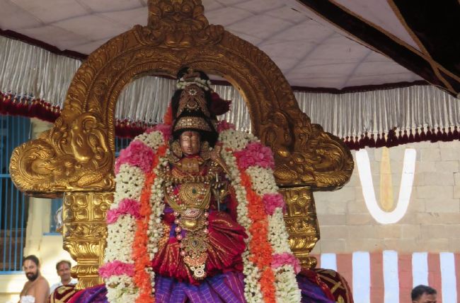 Kanchi Sri Devarajaswami TEmple Thiruvadipooram utsavam day 6 -2015 04