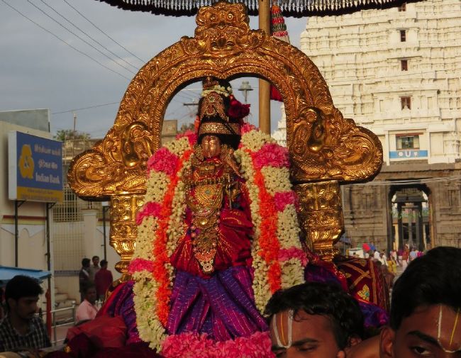 Kanchi Sri Devarajaswami TEmple Thiruvadipooram utsavam day 6 -2015 08