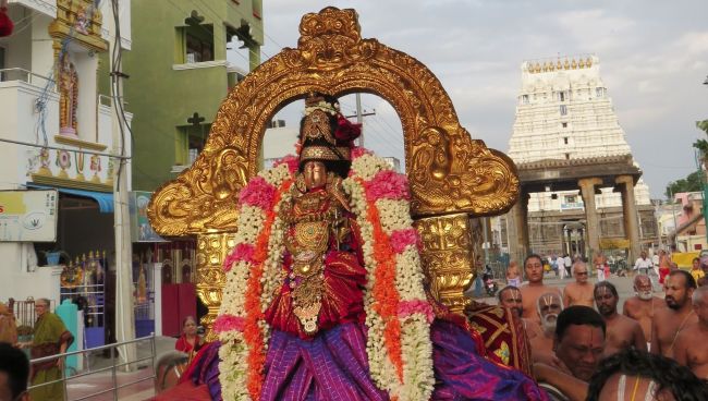 Kanchi Sri Devarajaswami TEmple Thiruvadipooram utsavam day 6 -2015 14