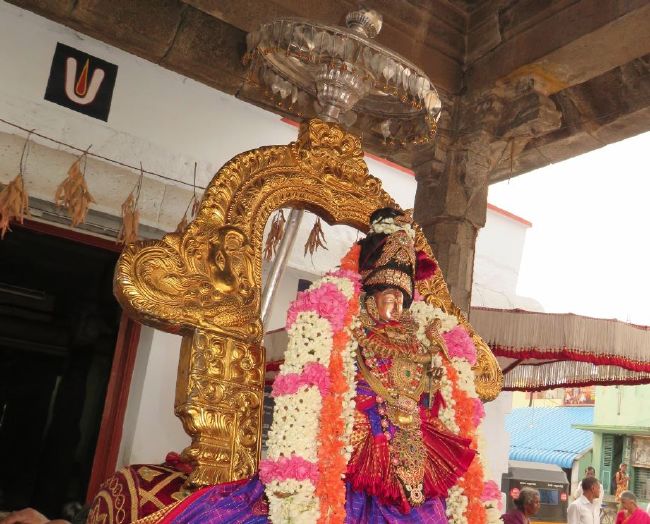 Kanchi Sri Devarajaswami TEmple Thiruvadipooram utsavam day 6 -2015 16