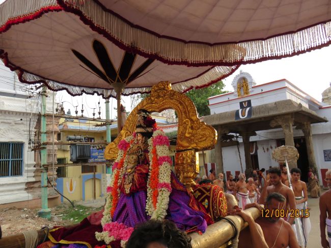 Kanchi Sri Devarajaswami TEmple Thiruvadipooram utsavam day 6 -2015 18