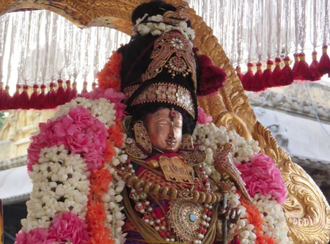 Kanchi Sri Devarajaswami TEmple Thiruvadipooram utsavam day 6 -2015 26