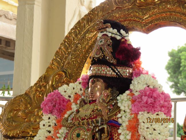 Kanchi Sri Devarajaswami TEmple Thiruvadipooram utsavam day 6 -2015 32