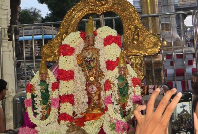 Kanchi Sri Devarajaswami Temple Aavani Sukla Ekadesi Purappadu  -2015 04