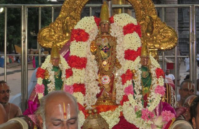 Kanchi Sri Devarajaswami Temple Aavani Sukla Ekadesi Purappadu  -2015 05
