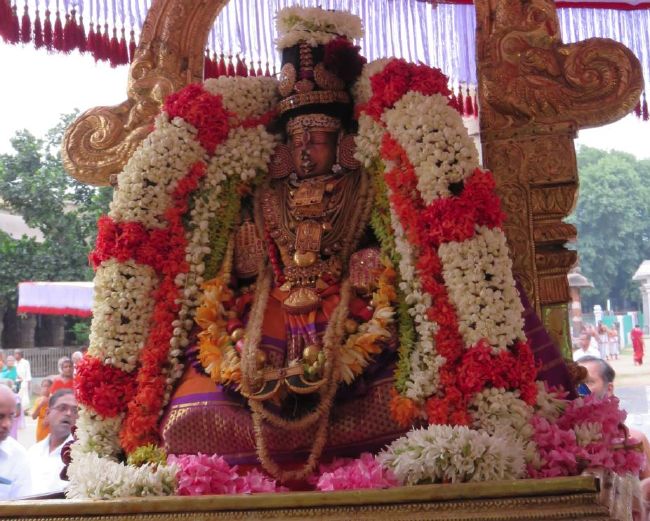 Kanchi Sri Devarajaswami Temple Aavani Sukravara Purappadu  -2015 03