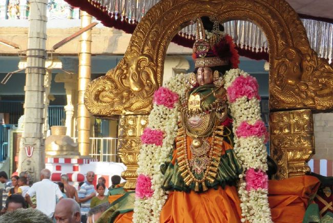 Kanchi Sri Devarajaswami Temple Sri Andal THiruvadipooram Utsavam Day 4 -2015 10