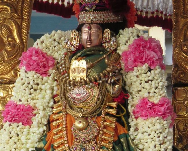 Kanchi Sri Devarajaswami Temple Sri Andal THiruvadipooram Utsavam Day 4 -2015 11