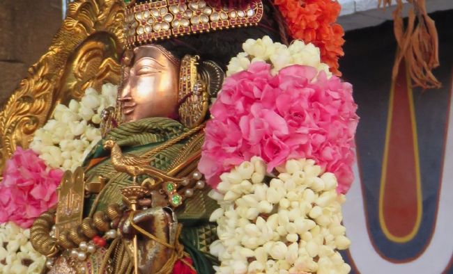Kanchi Sri Devarajaswami Temple Sri Andal THiruvadipooram Utsavam Day 4 -2015 15