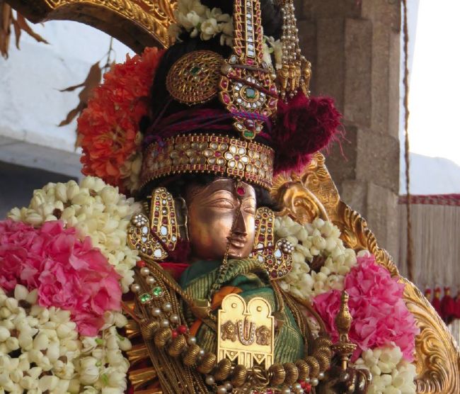 Kanchi Sri Devarajaswami Temple Sri Andal THiruvadipooram Utsavam Day 4 -2015 17