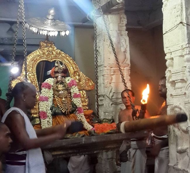 Kanchi Sri Devarajaswami Temple Sri Andal THiruvadipooram Utsavam Day 4 -2015 31