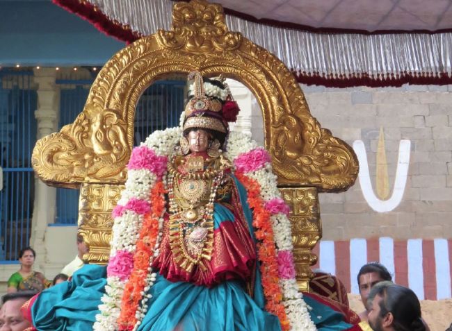 Kanchi Sri Devarajaswami Temple Sri Andal Thiruvadipooram UTsavam day 3-2015 06