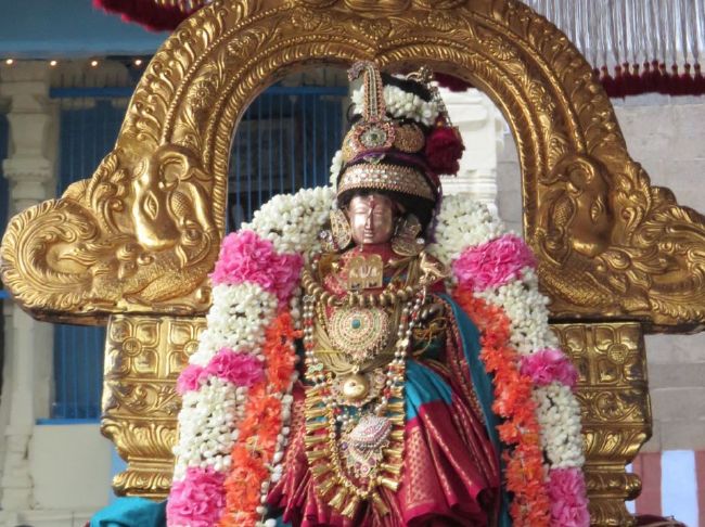 Kanchi Sri Devarajaswami Temple Sri Andal Thiruvadipooram UTsavam day 3-2015 08