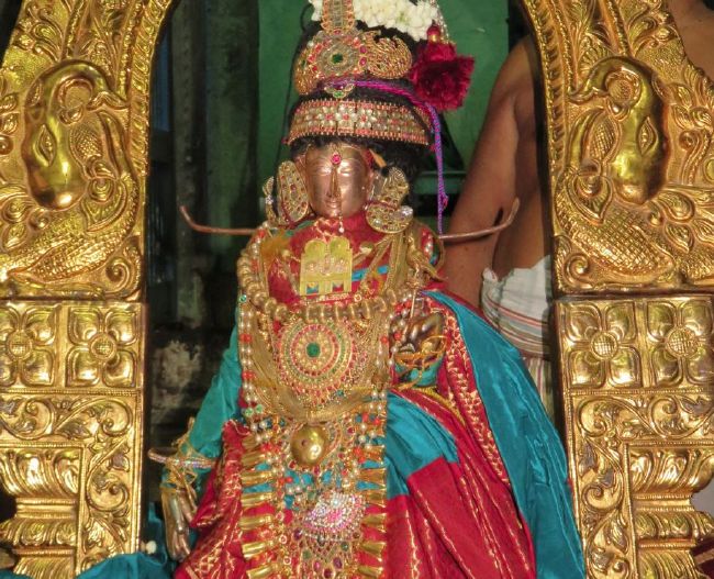 Kanchi Sri Devarajaswami Temple Sri Andal Thiruvadipooram UTsavam day 3-2015 33
