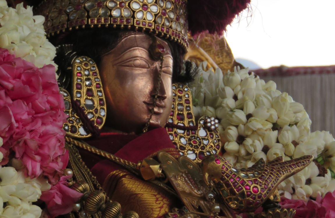 Kanchi Sri Devarajaswami Temple THiruvadipooram Utsavam day 8 2015-2
