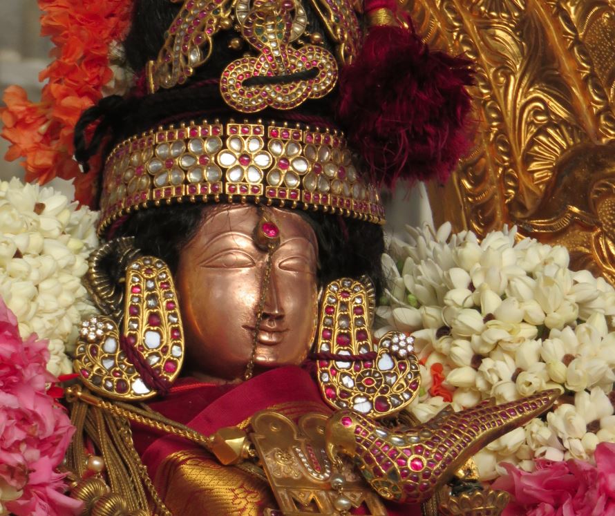 Kanchi Sri Devarajaswami Temple THiruvadipooram Utsavam day 8