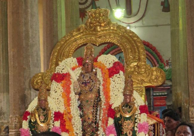 Kanchi Sri Devarajaswami Temple  Thiruvadipooram Utsavam Thirukalyanam-2015 03