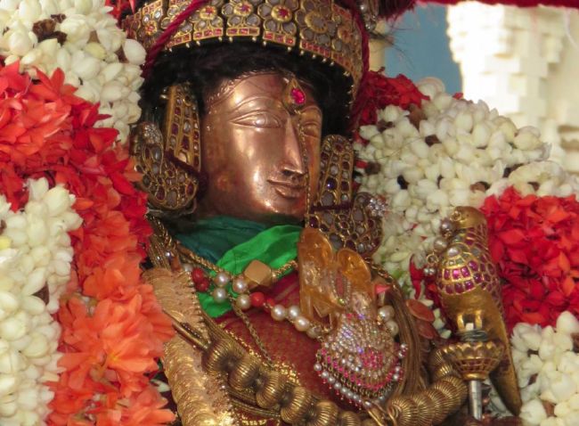 Kanchi Sri Devarajaswami Temple  Thiruvadipooram Utsavam Thirukalyanam-2015 08