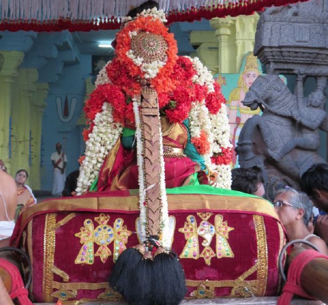 Kanchi Sri Devarajaswami Temple  Thiruvadipooram Utsavam Thirukalyanam-2015 09