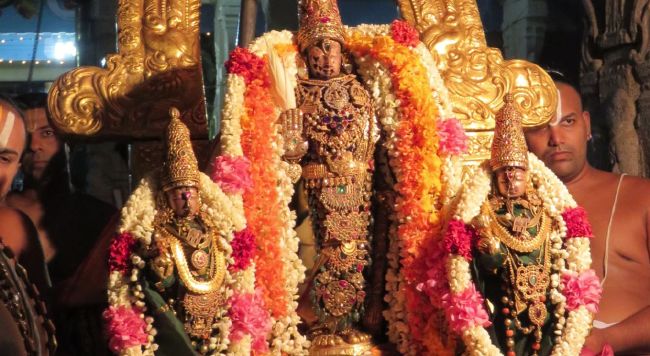 Kanchi Sri Devarajaswami Temple  Thiruvadipooram Utsavam Thirukalyanam-2015 26