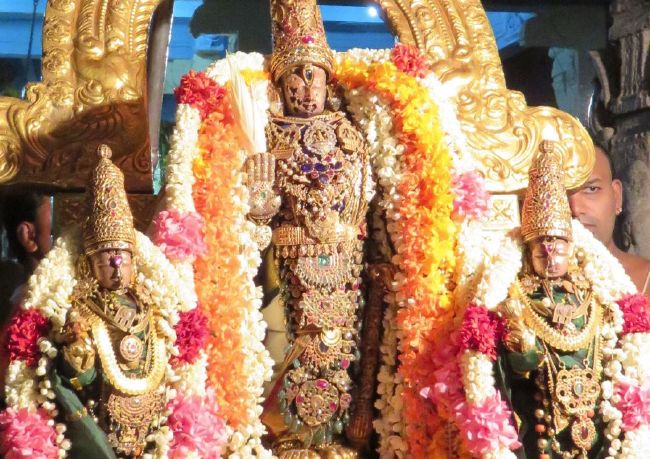 Kanchi Sri Devarajaswami Temple  Thiruvadipooram Utsavam Thirukalyanam-2015 29