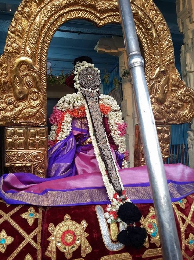Kanchi Sri Devarajaswami  Temple Thiruvadipooram Utsavam day 7 -2015 2