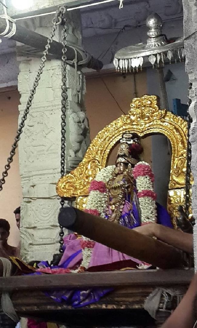 Kanchi Sri Devarajaswami  Temple Thiruvadipooram Utsavam day 7 -2015 4
