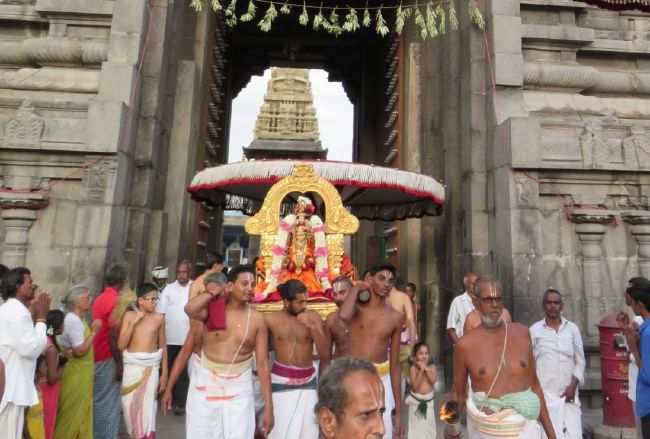 Kanchi Sri Devarajaswami  Temple Thiruvadipooram Utsavam day 8 -2015 04