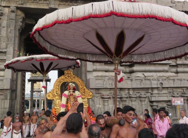 Kanchi Sri Devarajaswami  Temple Thiruvadipooram Utsavam day 8 -2015 05