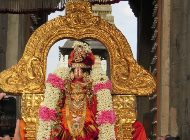 Kanchi Sri Devarajaswami  Temple Thiruvadipooram Utsavam day 8 -2015 06