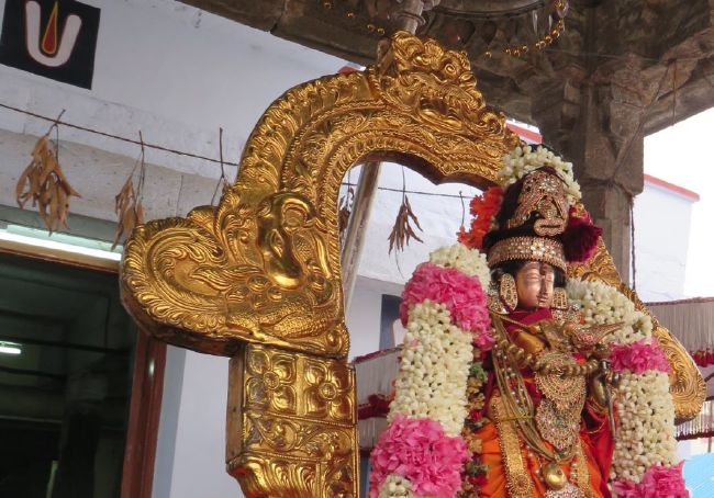 Kanchi Sri Devarajaswami  Temple Thiruvadipooram Utsavam day 8 -2015 16
