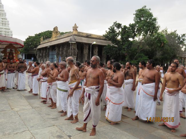 Kanchi Sri Devarajaswami  Temple Thiruvadipooram Utsavam day 8 -2015 19