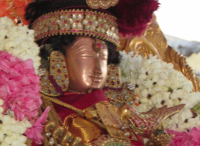 Kanchi Sri Devarajaswami  Temple Thiruvadipooram Utsavam day 8 -2015 22