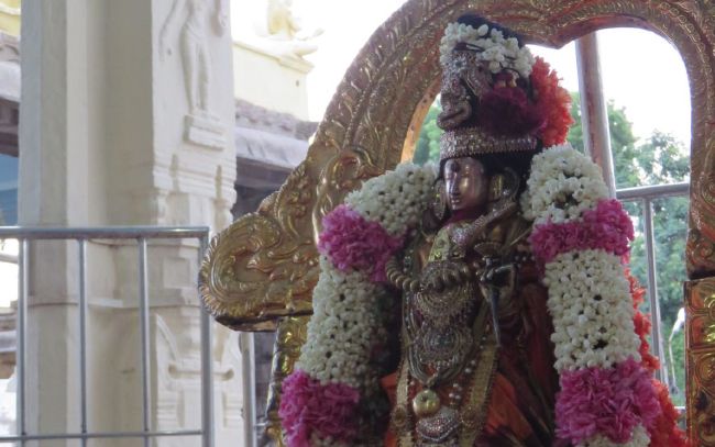 Kanchi Sri Devarajaswami  Temple Thiruvadipooram Utsavam day 8 -2015 24