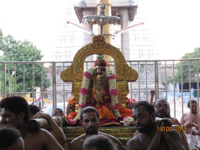 Kanchi Sri Devarajaswami  Temple Thiruvadipooram Utsavam day 8 -2015 26