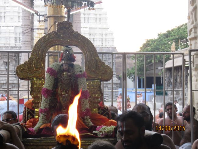 Kanchi Sri Devarajaswami  Temple Thiruvadipooram Utsavam day 8 -2015 27