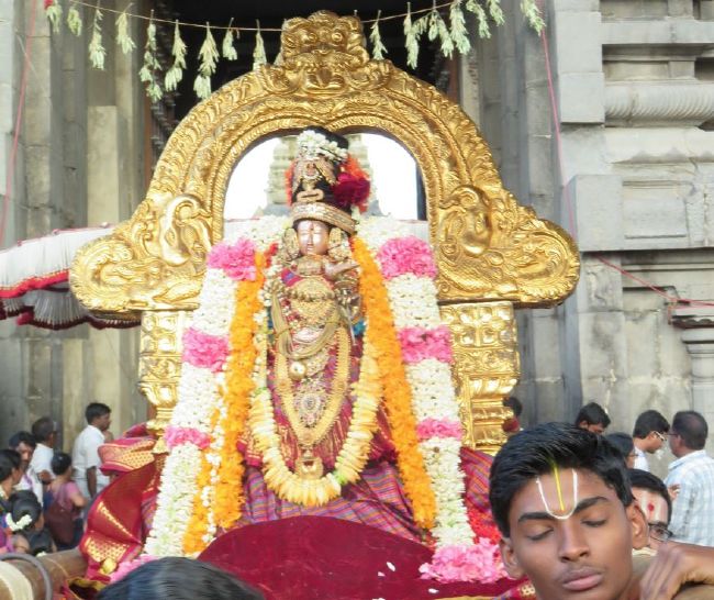 Kanchi Sri Devarajaswami Temple  Thiruvadipooram Utsavam day 9-2015 02