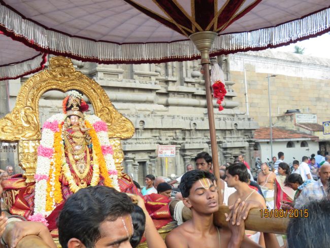 Kanchi Sri Devarajaswami Temple  Thiruvadipooram Utsavam day 9-2015 03