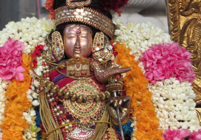 Kanchi Sri Devarajaswami Temple  Thiruvadipooram Utsavam day 9-2015 05