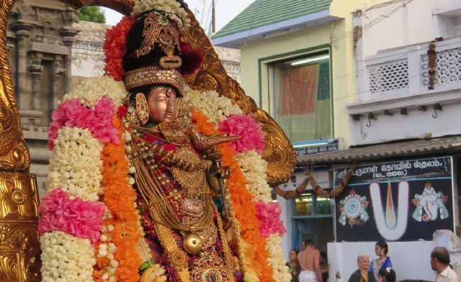 Kanchi Sri Devarajaswami Temple  Thiruvadipooram Utsavam day 9-2015 08