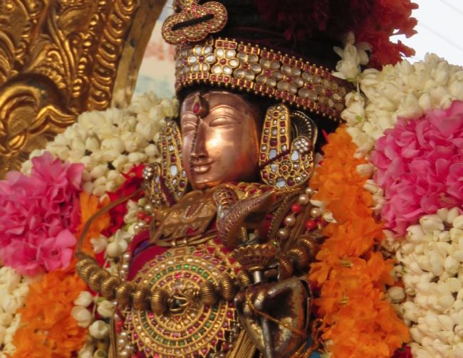 Kanchi Sri Devarajaswami Temple  Thiruvadipooram Utsavam day 9-2015 13