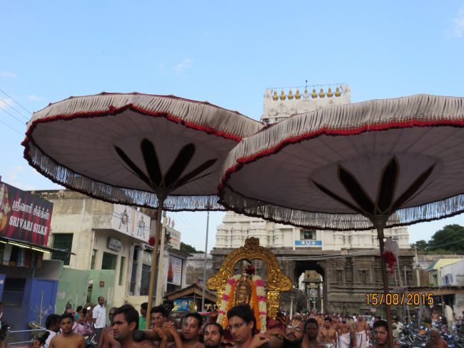 Kanchi Sri Devarajaswami Temple  Thiruvadipooram Utsavam day 9-2015 14