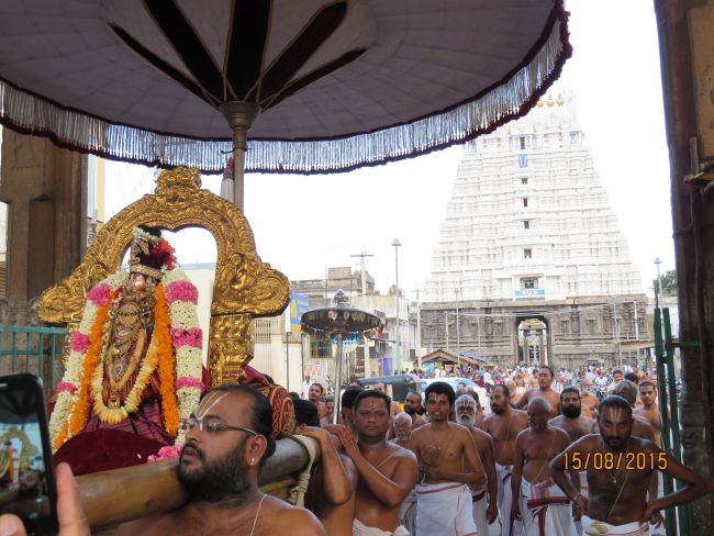 Kanchi Sri Devarajaswami Temple  Thiruvadipooram Utsavam day 9-2015 17