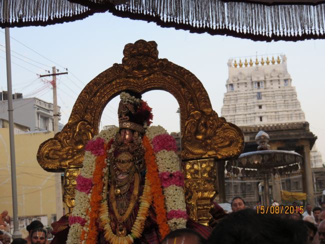 Kanchi Sri Devarajaswami Temple  Thiruvadipooram Utsavam day 9-2015 23