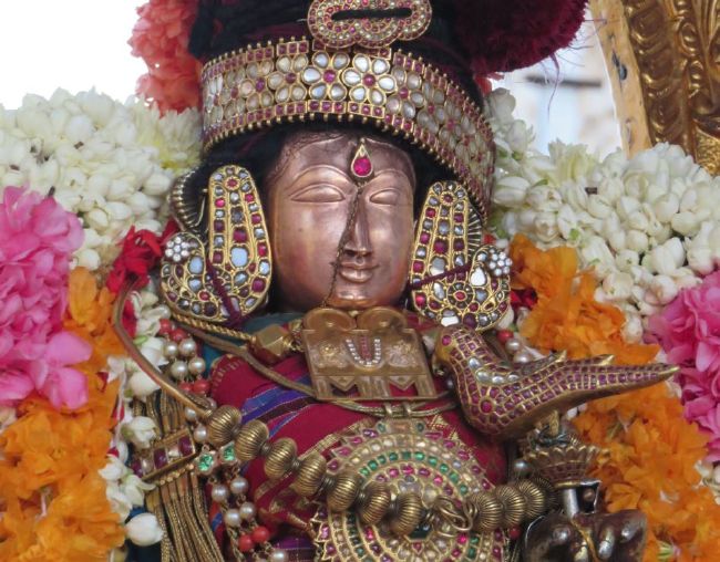 Kanchi Sri Devarajaswami Temple  Thiruvadipooram Utsavam day 9-2015 25