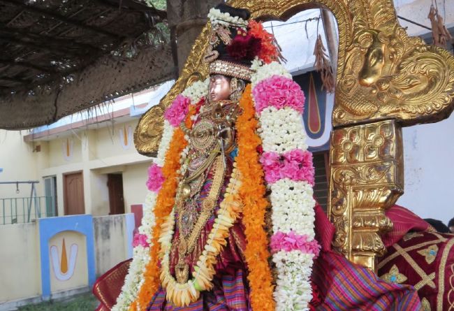 Kanchi Sri Devarajaswami Temple  Thiruvadipooram Utsavam day 9-2015 28